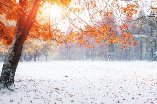 Zeichen und Verschwörungen am 13. November 