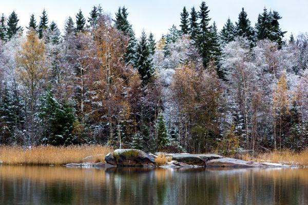 Zeichen und Verschwörungen des Novembers 