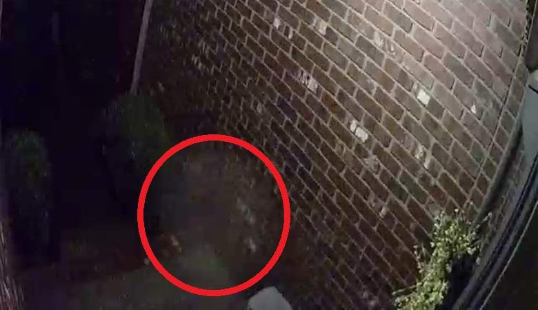 Ghost steigt in einem mysteriösen Video die Treppe hinunter