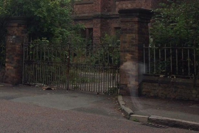 Der Geist eines Tierheims in Liverpool hat eine Frau erschreckt - die Autorin des Bildes
