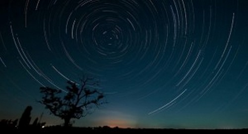 Die Vögel spüren, wie sich der Sturm in ein paar Tagen nähert. Wie?