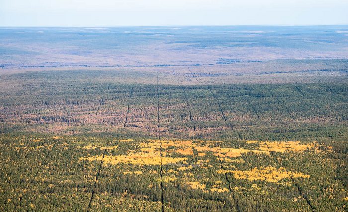 Marking the Earth - wer ist der Autor?