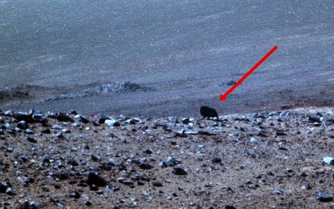 NASA Rover hat ein Tier auf dem Mars erschossen