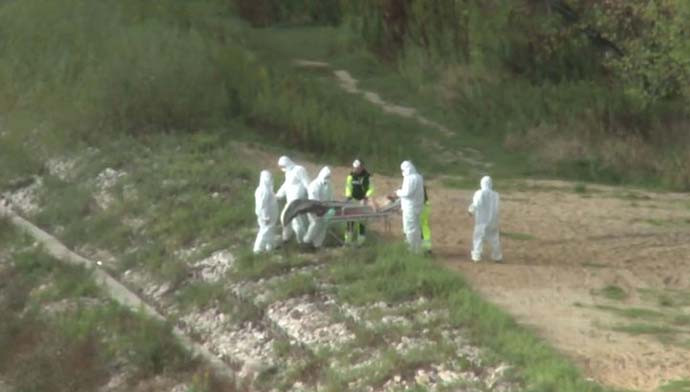 Meerjungfrau in der Weichsel - Video