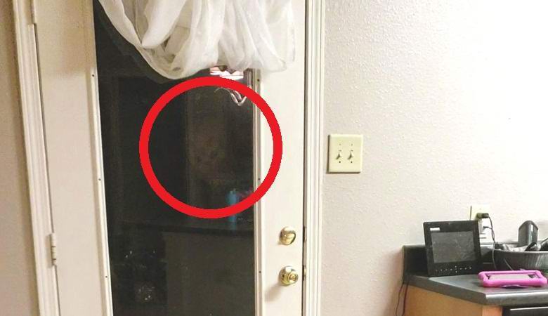 Der graue Alien spähte nachts in das Familienhaus und drehte das Video.