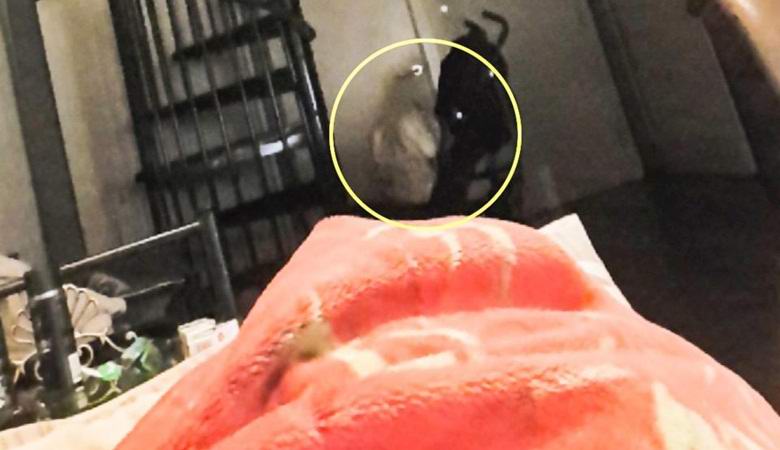 Fotografiert von einem bedrohlichen Phantom, das auf dem Boden einer Wohnung sitzt