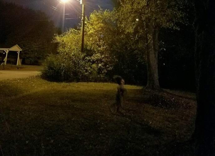 Fotografiert von einer seltsamen Kreatur