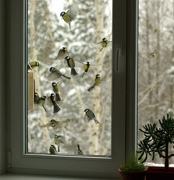 Titten in der Nähe des Fensters 