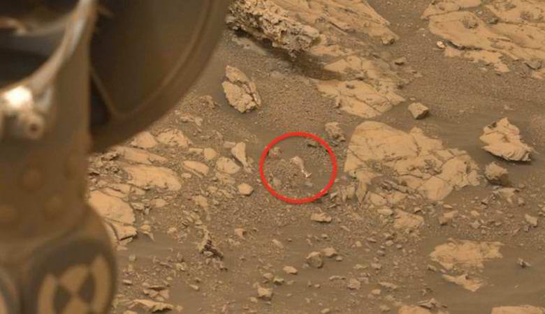 Scott Waring auf dem Mars gefunden