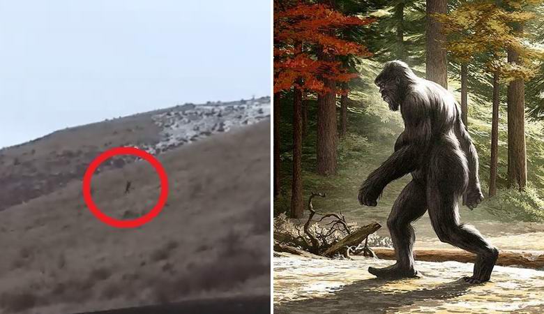 Bigfoot in Idaho gefangen