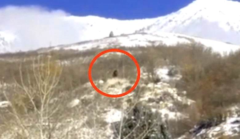 Bigfoot in Utah gefangen