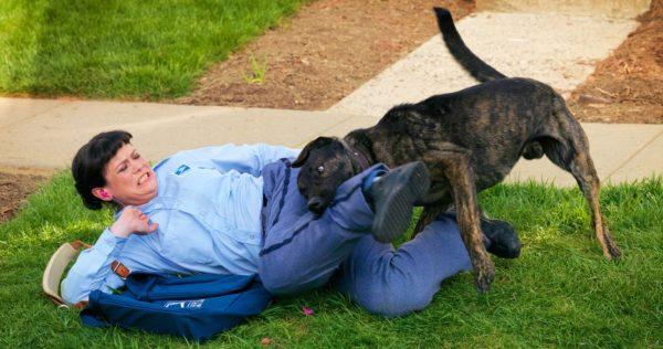 Warum von einem Hundeangriff träumen? 