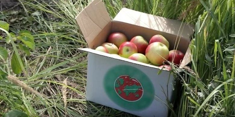 Tambowäpfel gehen ins All