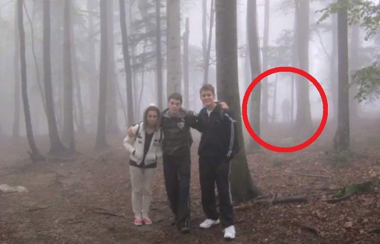 Touristen machten Fotos mit einer seltsamen Kreatur in einem nebligen Wald