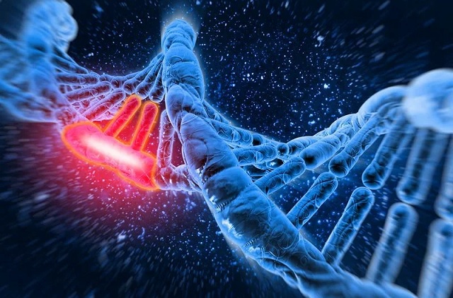 Bei einem Mann nach einer Knochenmarktransplantation wurde die DNA eines anderen im Sperma gefunden.