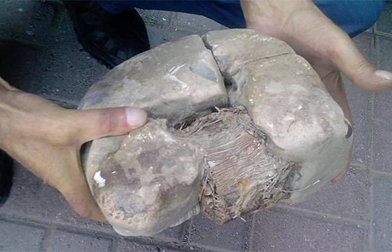 Wissenschaftler erforschen ein Artefakt, das 20.000 Jahre alt ist. Es wurde auf dem Territorium des Shar Planin-Gebirges im Kosovo gefunden.