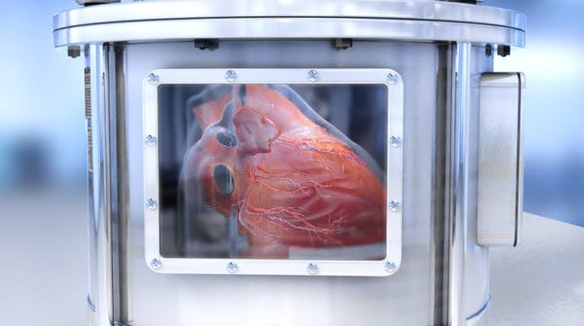 Wissenschaftler haben funktionierende Mikrokopien menschlicher Organe erstellt 