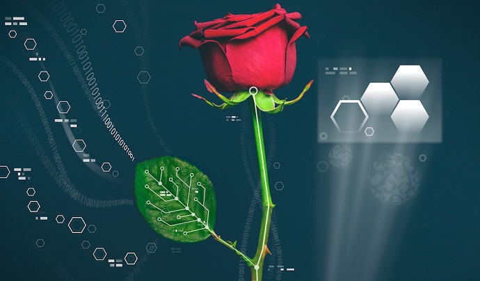 Wissenschaftler haben eine Cyborg-Blume geschaffen