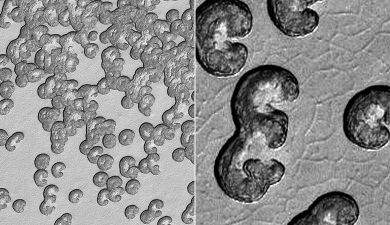 Der Ufologe fand seltsame Strukturen am Südpol des Mars