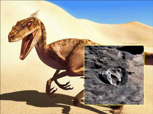 Ufologe auf dem Mars rumgemacht
