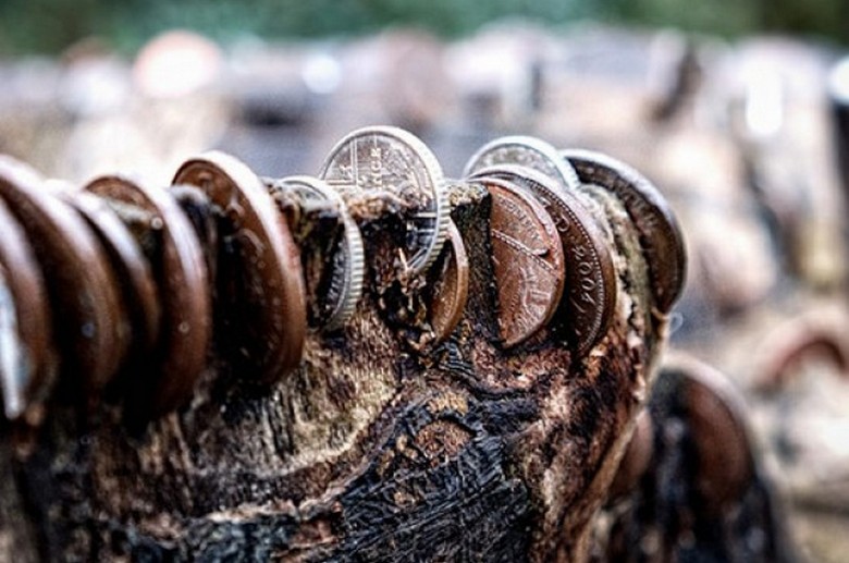 In der Region Amur hat ein sechsjähriger Junge einen Schatz im Wald gefunden.