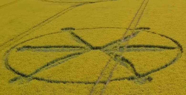 In England ein neuer Kreis auf dem Feld