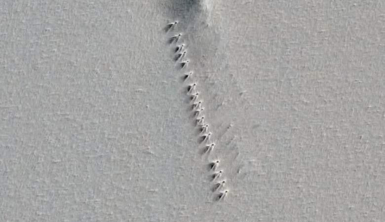 In der Antarktis fanden sie eine gerade Reihe unverständlicher identischer Objekte