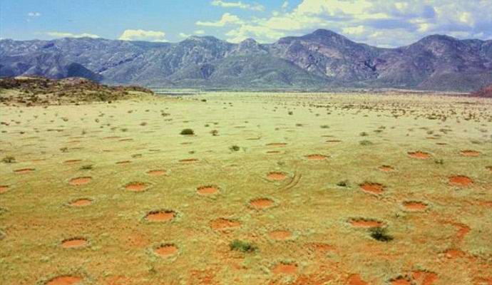 In Australien fand das mysteriöse