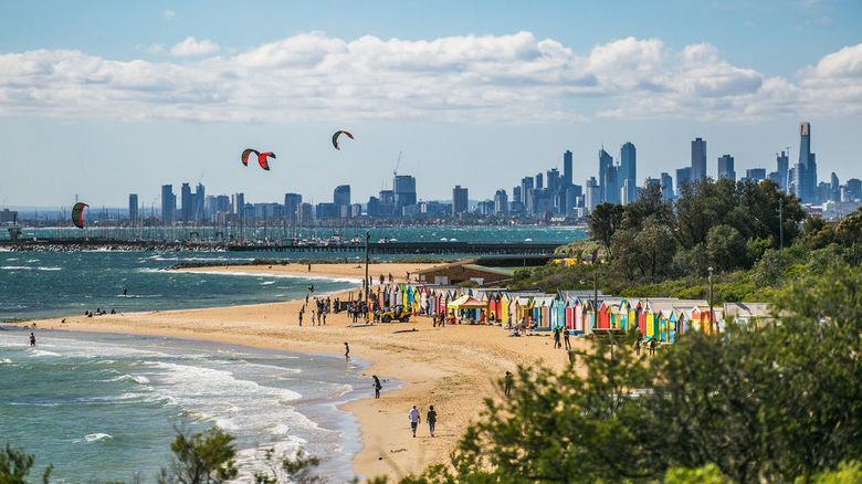 In Australien sind räuberische Meereswanzen aufgetaucht - Schwimmen wurde gefährlich