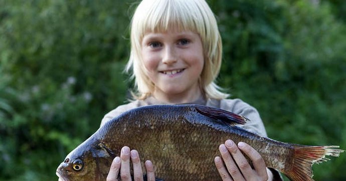 In Finnland fällt ein großer Fisch vom Himmel