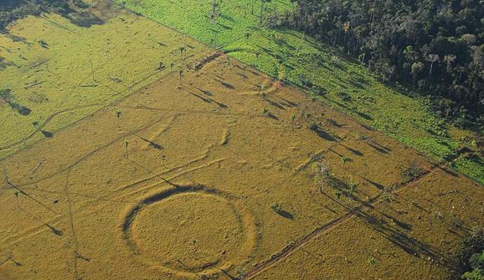 In den Wäldern Amazoniens wurden riesige Zeichnungen auf der Erde gefunden