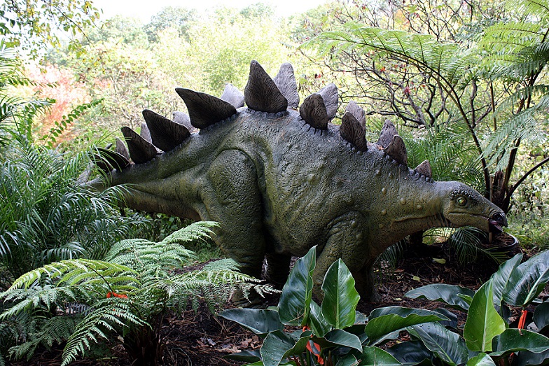 In Marokko wurden die Überreste eines alten Stegosaurus gefunden