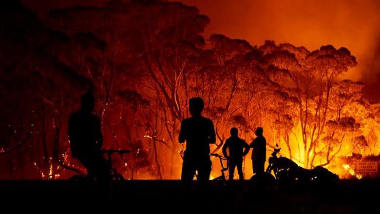 Gefangen im australischen Waldbrand