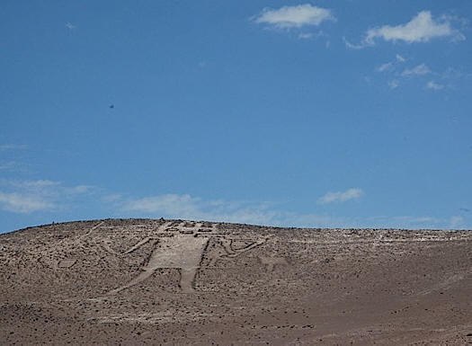 86-Meter-Riese aus der Atacama-Wüste (Chile)