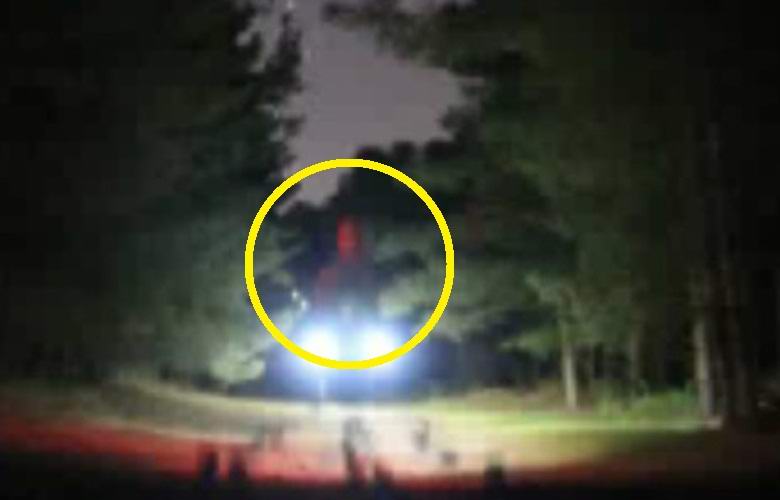 Ein riesiger Außerirdischer wurde im Randlesham Forest fotografiert