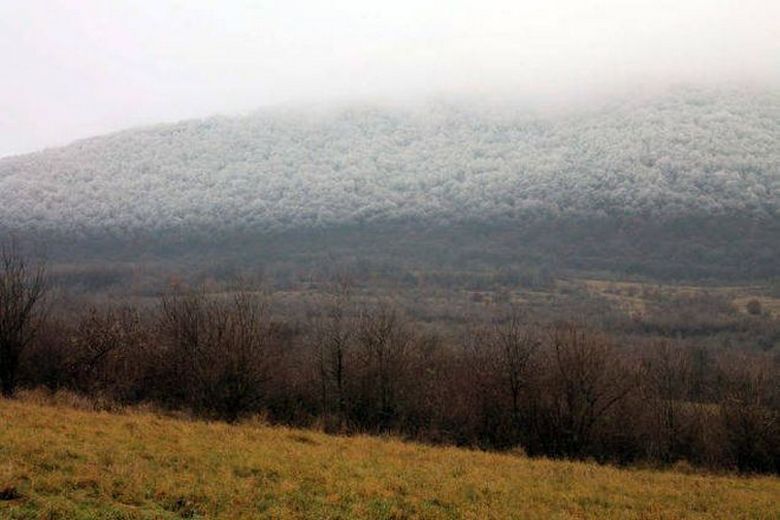 In Ungarn wurde ein einzigartiges Naturphänomen aufgezeichnet -