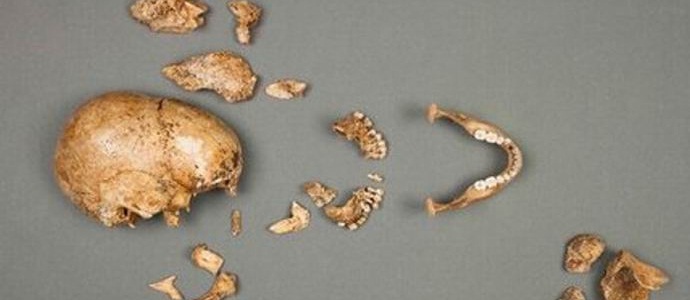 Knochen eines Wehrmachtsoffiziers im Magen eines riesigen Welses gefunden