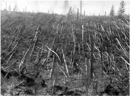 Versionen: Die Tunguska-Explosion - der Vorbote einer globalen Katastrophe