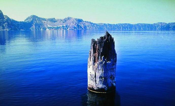 Das Rätsel eines erstaunlichen Baumstamms im Crater Lake