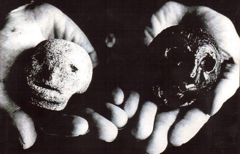 Mysteriöse Köpfe von Hexem, neben denen unerklärliche Phänomene auftreten.