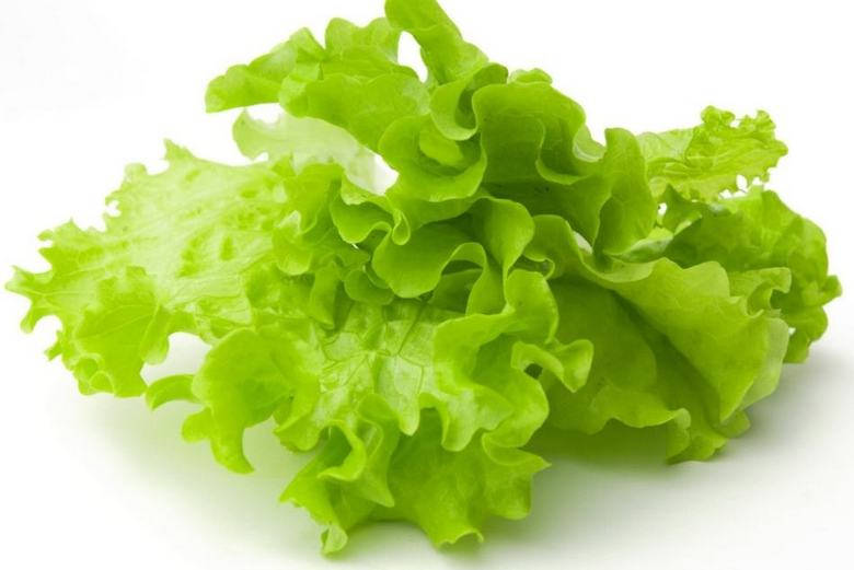 Grüne Salate verjüngen das Gehirn